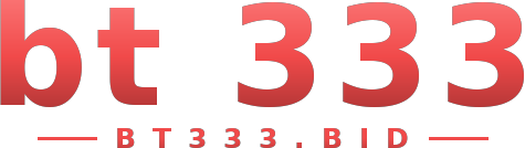 bt 333 logo